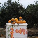 정방연로 이미지