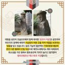 고수동 거욱대 이미지