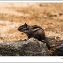 자연과 하루 이미지