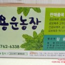 용운농장 이미지