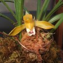 춘향문화예술회관 이미지