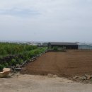 창천지석묘 1호 이미지