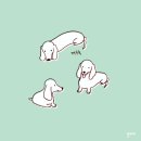 그노