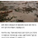 충북 캠핑장서 침수로 피서객 20여 명 고립 이미지