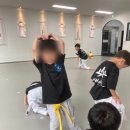 용인대 태권마루 태권도장 이미지