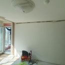 판교원로 이미지