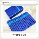 KY식품 | [듀얼플랜 유산균] 웬디유산균 추천 듀얼플랜 유산균 프로뉴트리션 후기