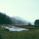 우리들의 사랑 이미지