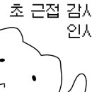 산호동527 이미지