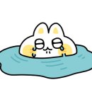 START DOGS(스타트독스) 이미지