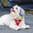 광진동물병원 이미지