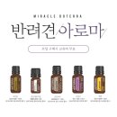 피부향기 스킨앤바디 네이버블로그