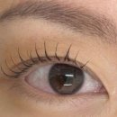래쉬코드(LASH CODE)