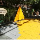 횡단보도옐로카펫 이미지