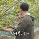 베리굿농원 - 고령군 반룡사길 68 | 베리굿농원