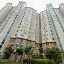 양지로·양지남로 이미지