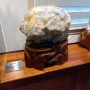 경남양봉원 이미지