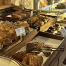 어성애견 이미지