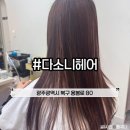 다소니미용실 | 광주용봉동미용실 야간 시술 가능한 다소니헤어 전대본점 발레아쥬 후기