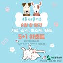 김천 내일동물병원 이미지