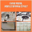 크린환경21