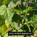 누리달아흐레