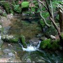 태백순대 이미지