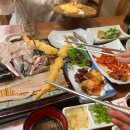갯바위 | 창원 상남동 맛집 자연산 회 코스 후기 갯바위횟집