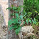 벧엘요양병원 이미지