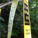 진산카센타 | 금남정맥 3구간 백령고개-양정고개 47.4km(2017. 8. 27.-28.)