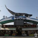 주문진종합시장 이미지