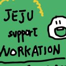 오피스제주 이미지