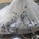 제육대가광주