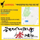 금모래 태권도장 네이버블로그