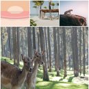 커피와 책이 있는 이미지