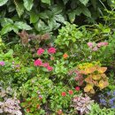 붓꽃섬 | 나오시마 여행 | 지추미술관 지중미술관 예약 버스정보 관람후기 (모네, 제임스 터렐, 월터 드 마리아)