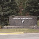 박사태권도장 & 스포츠클럽 | 워싱턴주 워싱턴주립대학(Washington State University) 방문 후기! [이춘근 미국여행 티스토리 1,287회]