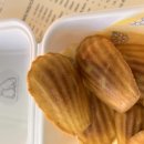 견묘양처 이미지