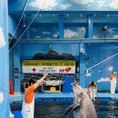 자연과학유치원 이미지