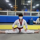 경희대한결태권도 이미지