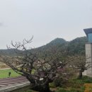 애플골프클럽 | ⛳ “한적한 저녁 골프, 신안CC 야간 라운딩 솔직 후기” / 코스공략법