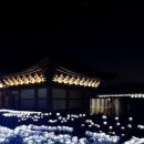 구몰 | 사찰 선운정사, 설문대 할망 소원석, 소원이 이뤄지는 곳, 빛마루축제, 야경명소 추천, 찐 방문 후기!!