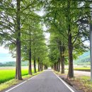 부거리길 이미지