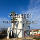 조천S3001 | 제주 동쪽 조천읍 애견동반 가능한 예쁜숙소 풀빌라 조천s3001