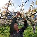 박상준농장 이미지