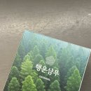 행운 | 수험생 선물 추천, 3수하는 남동생에게 줬더니 정말 좋아했던 행운샴푸 후기