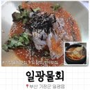 일광물회 - 달성군 성천로26길 50 | [부산 기장]물회맛집 ‘일광물회’, 일광역 근처맛집추천, 포장후기