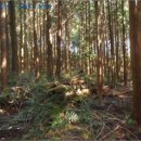 남원읍-54 이미지