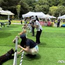 송파 마리동물병원 이미지