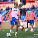 그린우드 이미지